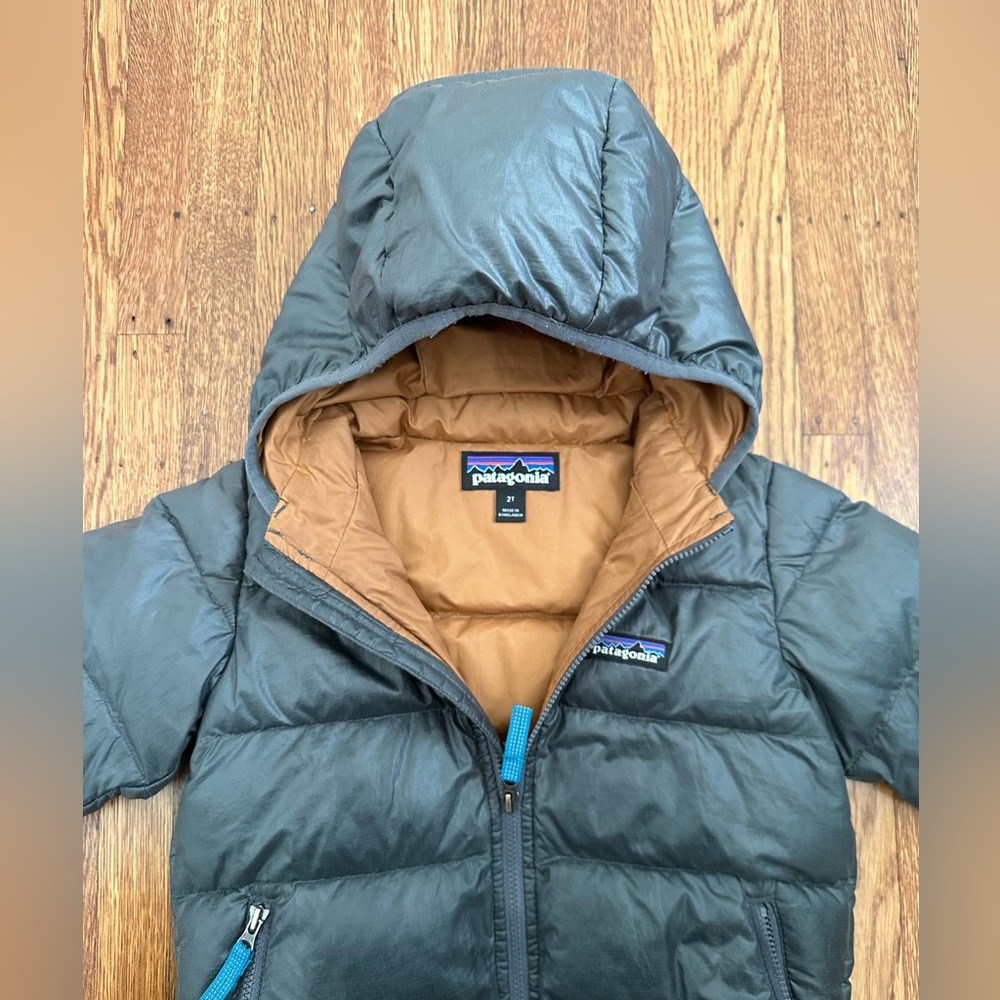 Patagonia down sweater hoody